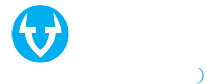 ISRACHEM לוגו